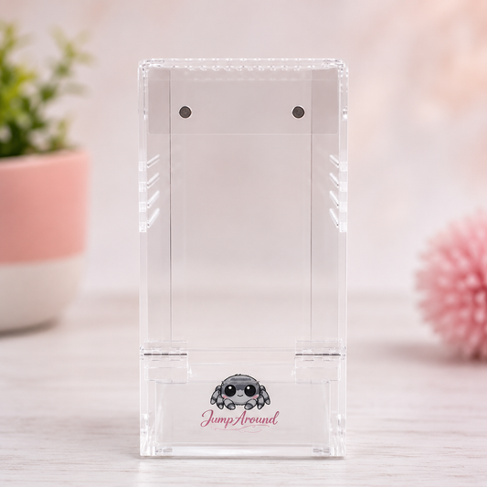 Junior Jumping Spider Enclosure