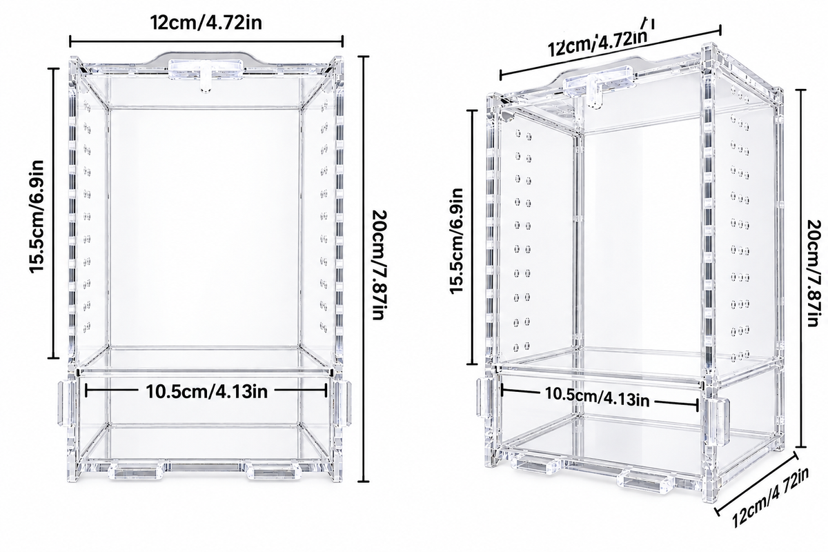 Large Adult Jumping Spider Enclosure with Spooky Creeps Decoration Accessory Pack
