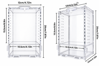 Large Adult Jumping Spider Enclosure with Spooky Creeps Decoration Accessory Pack