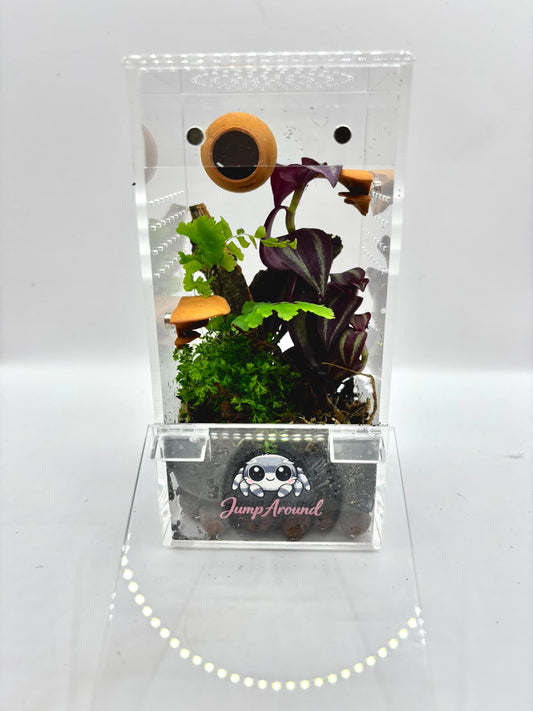 BioActive Junior Jumping Spider Enclosure