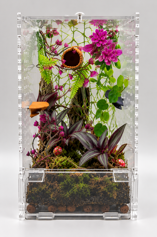 BioActive Large Jumping Spider Enclosure Kit