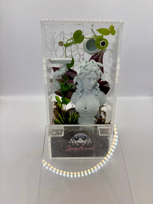 Medusa Lost Garden - Bioactive Junior Jumping Spider Enclosure