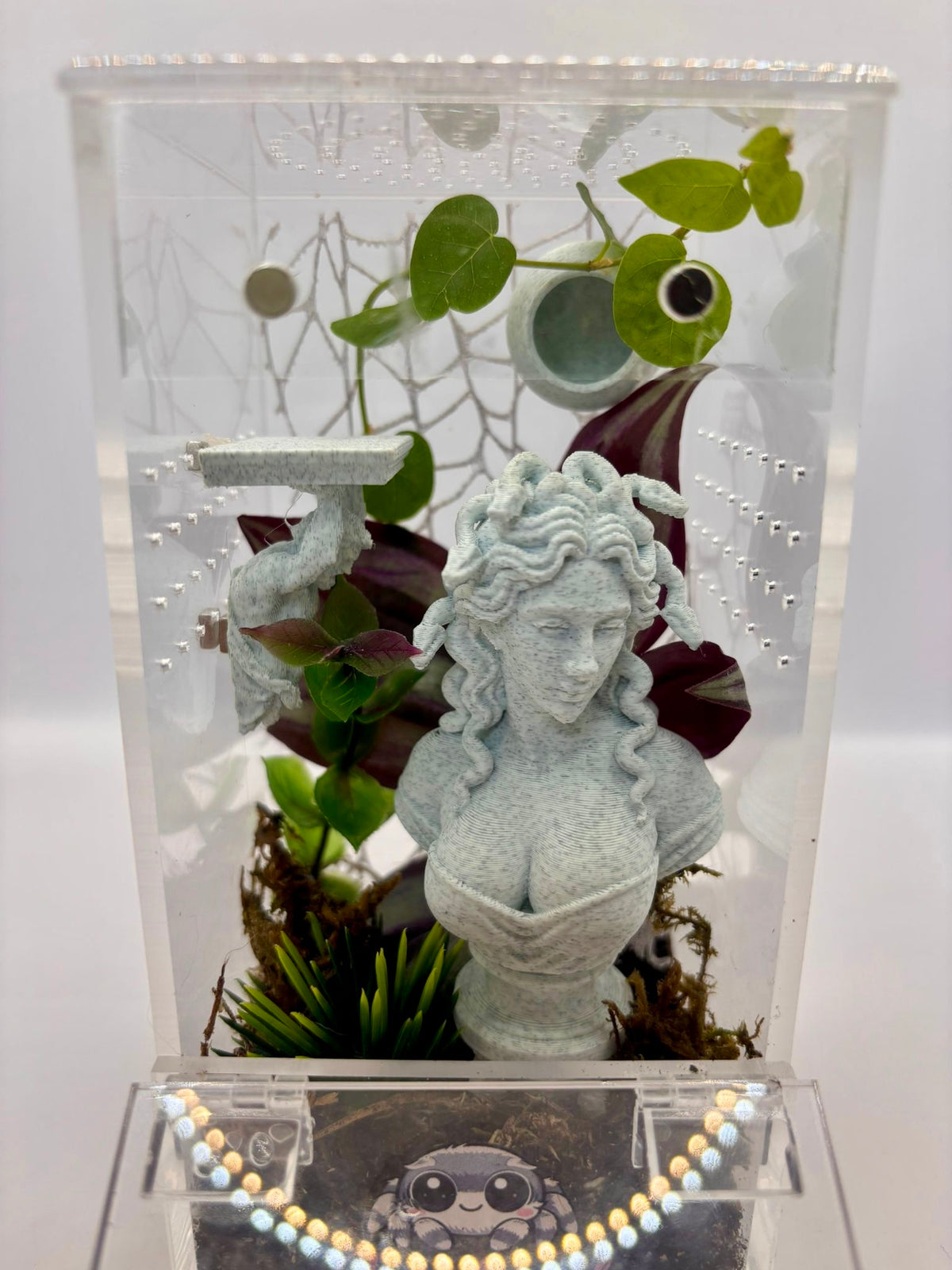 Medusa Lost Garden - Non Bioactive Junior Jumping Spider Enclosure