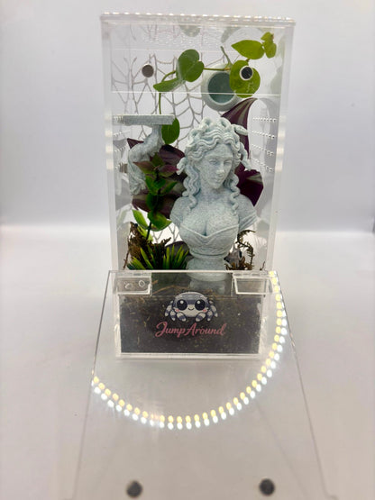 Medusa Lost Garden - Non Bioactive Junior Jumping Spider Enclosure