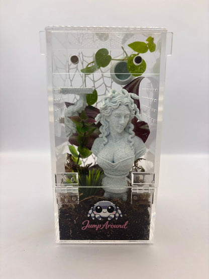 Medusa Lost Garden - Non Bioactive Junior Jumping Spider Enclosure