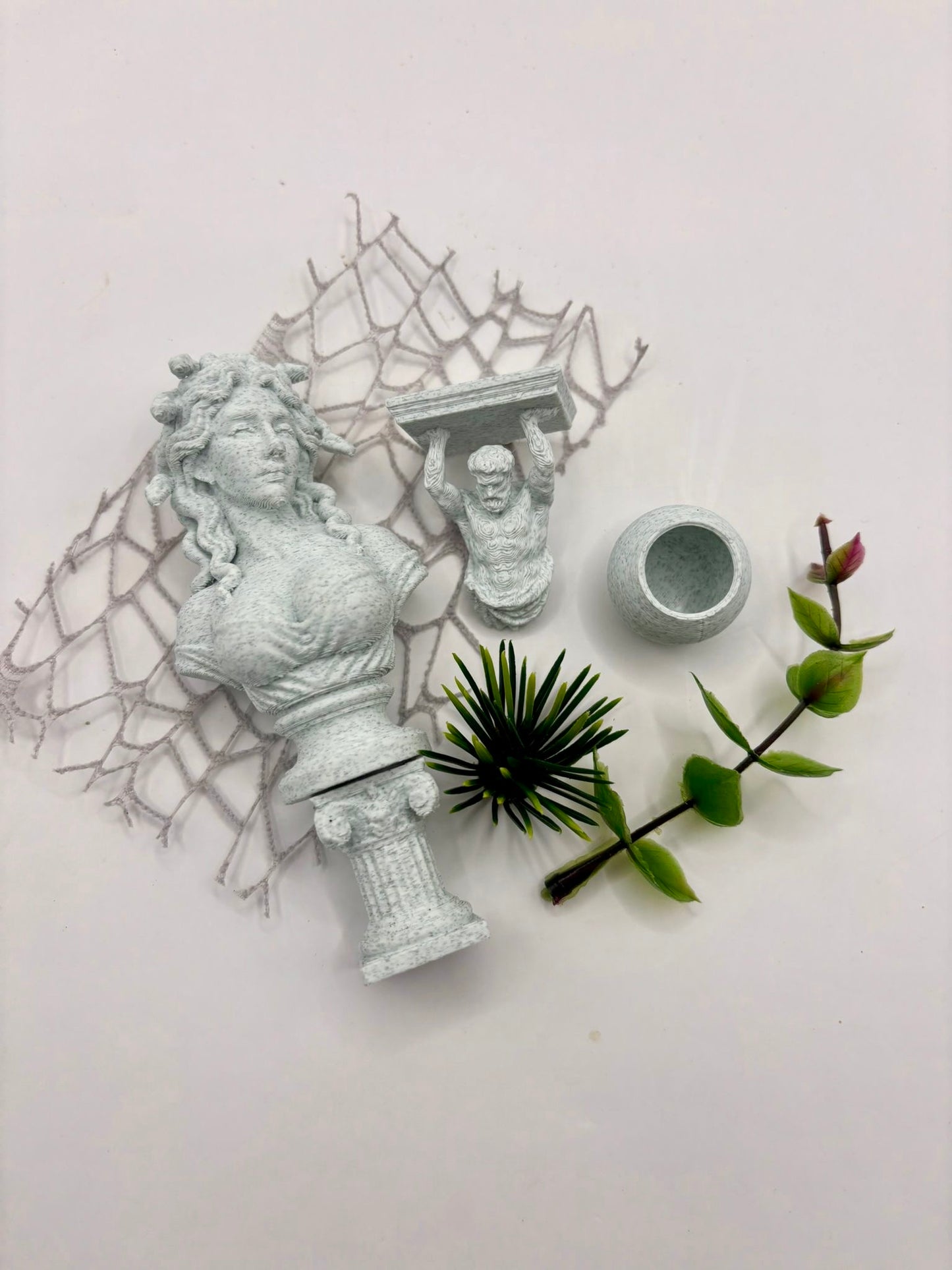 Medusa Lost Garden - Non Bioactive Junior Jumping Spider Enclosure