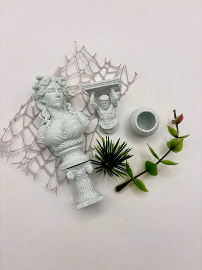 Medusa Lost Garden - Non Bioactive Junior Jumping Spider Enclosure