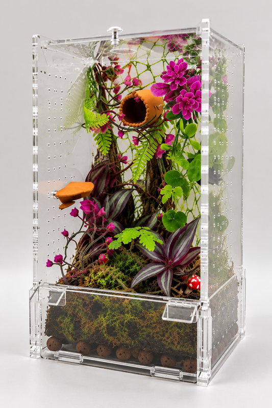 BioActive Large Jumping Spider Enclosure Kit