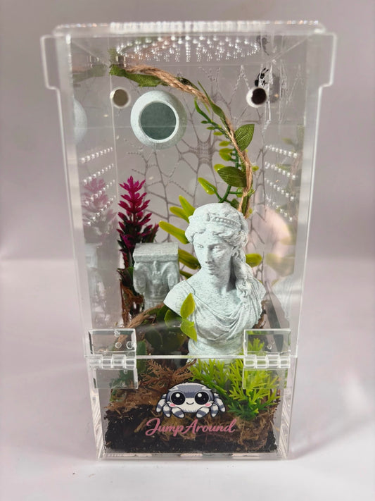 The Lost Garden - Junior Jumping Spider Enclosure
