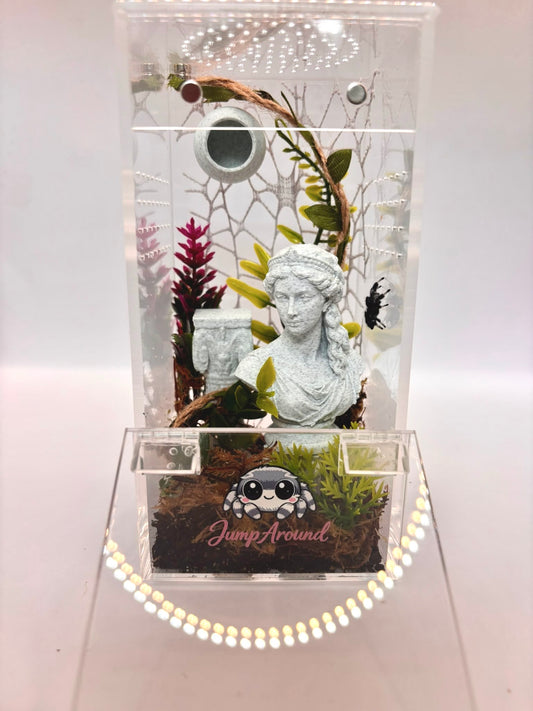 The Lost Garden - Junior Jumping Spider Enclosure