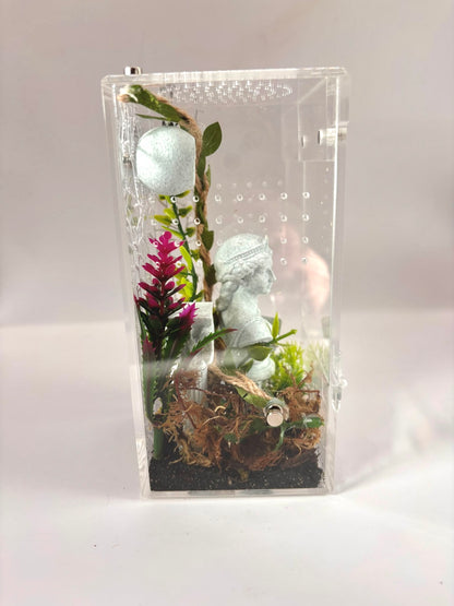 The Lost Garden - Junior Jumping Spider Enclosure