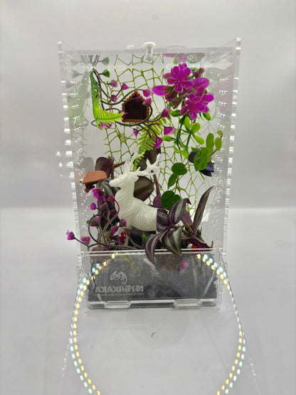 The Patronus — Enchanted Forest Bioactive Enclosure