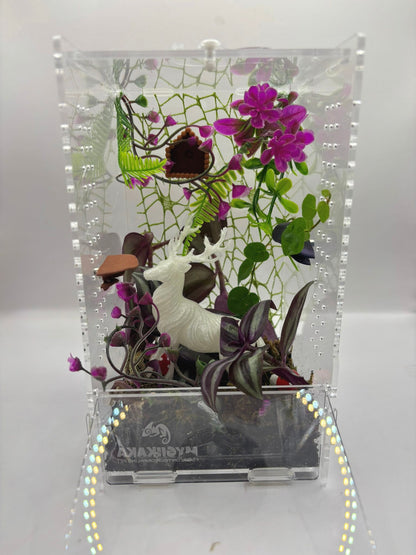 The Patronus — Enchanted Forest Bioactive Enclosure