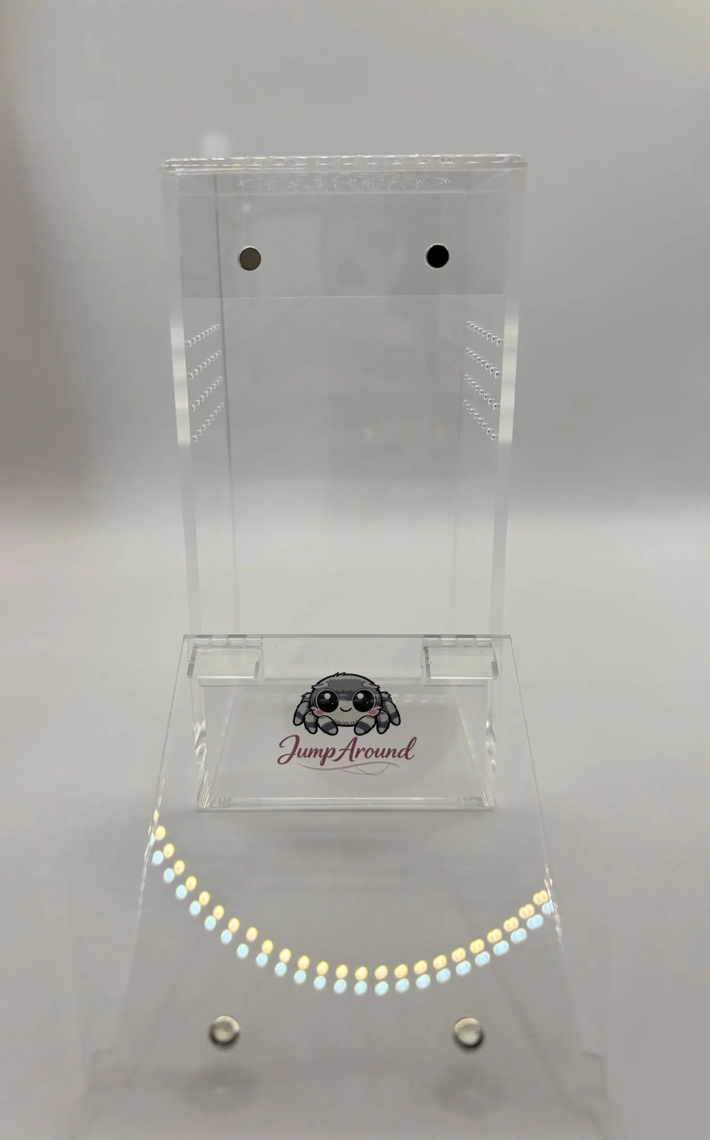 Decorated Junior Jumping Spider Enclosure