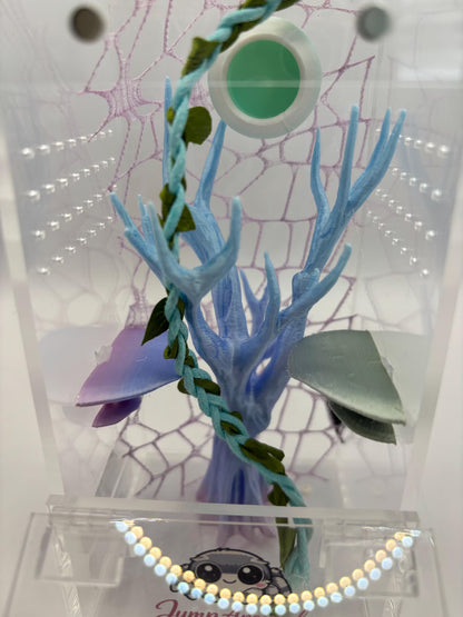 Decorated Junior Jumping Spider Enclosure