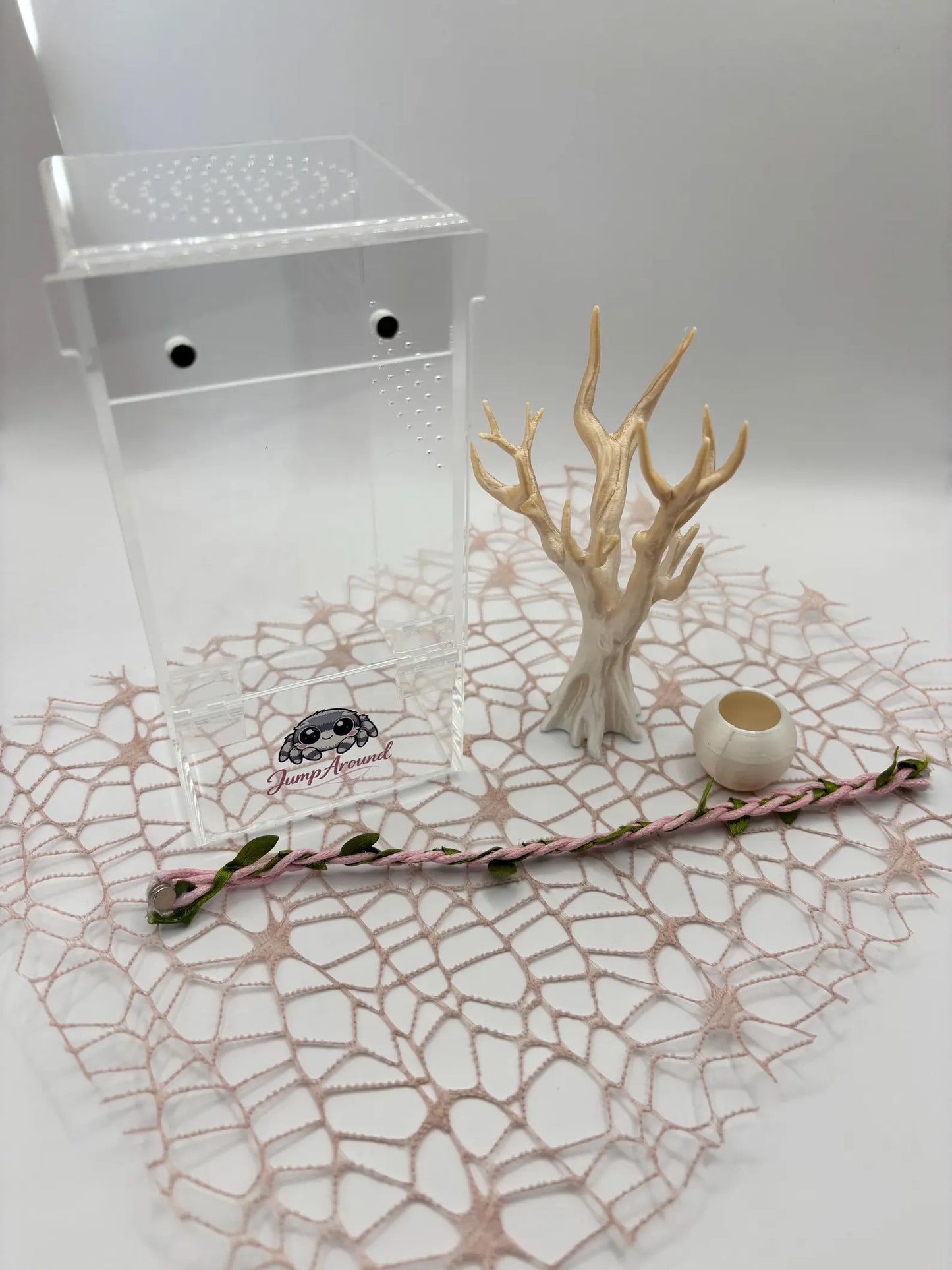 Phidippus Regius Isla Juventud & Junior Enclosure Bundle - Pumpkin & Blueberry's Spiderlings - Unsexed