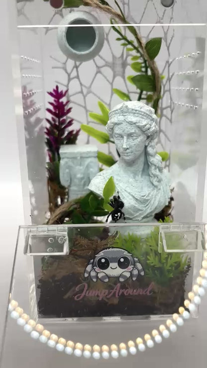 The Lost Garden - Junior Jumping Spider Enclosure