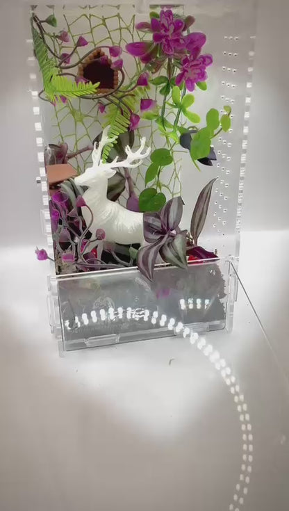 The Patronus — Enchanted Forest Bioactive Enclosure