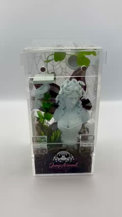 Medusa Lost Garden - Non Bioactive Junior Jumping Spider Enclosure